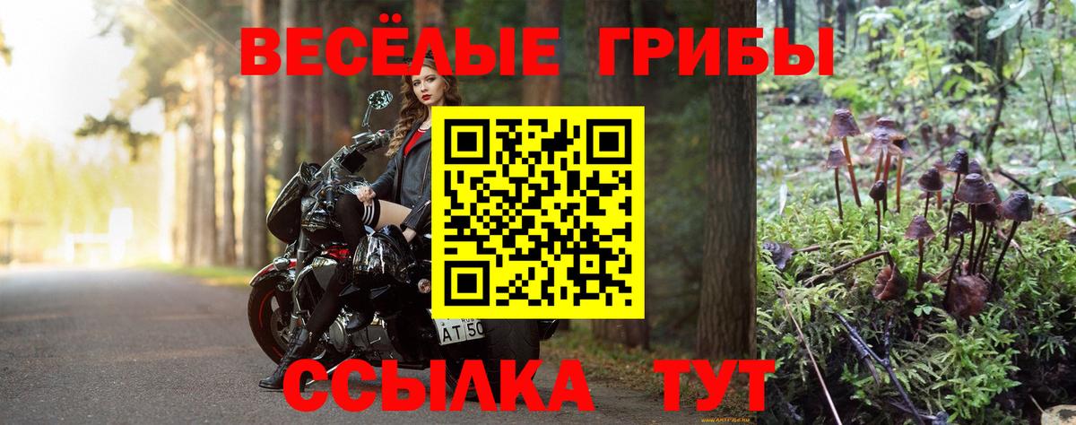 Галлюциногенные грибы Cubensis  где купить наркоту  Дальнереченск  Вход с VPN 